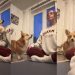 Video Shows the Real Challenge of Doing Yoga With a Dog Around