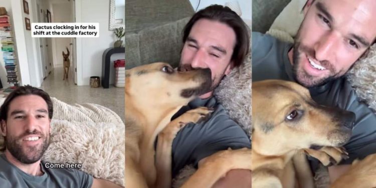 Video Shows Rescue Pup Running to Owner for Hugs