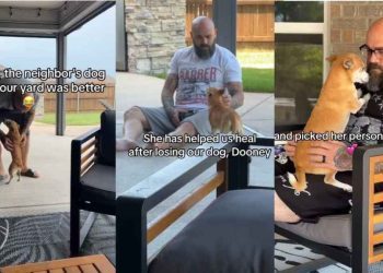 Video: Little Dog Finds Her Way Into a Neighbor’s Home & Their Hearts