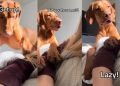 Video: Dog’s Shocked Face After Failing to Get Owner Out of Bed Is Hilarious