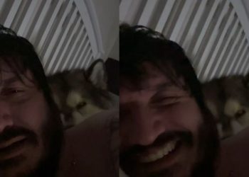 Dog Sleeps & Snores Next to Owner Like He Pays the Rent in Funny Video