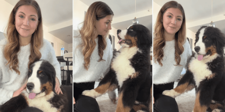 Dog Is Glued to Mom at All Times Because That’s Their New Normal Now